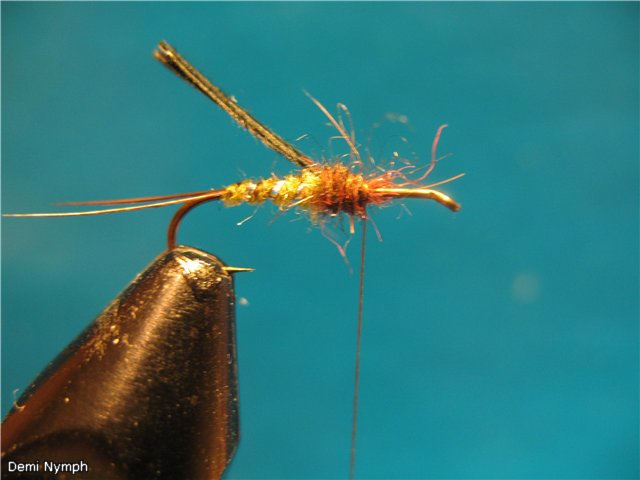 Demi Nymph
