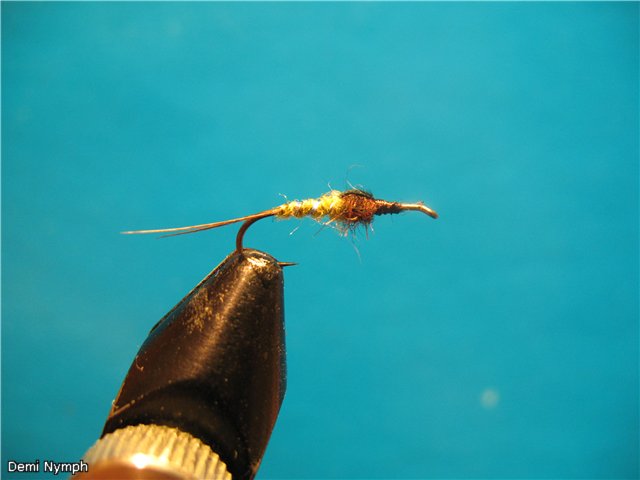 Demi Nymph