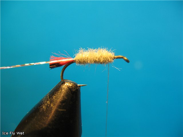 Ice Fly Wet