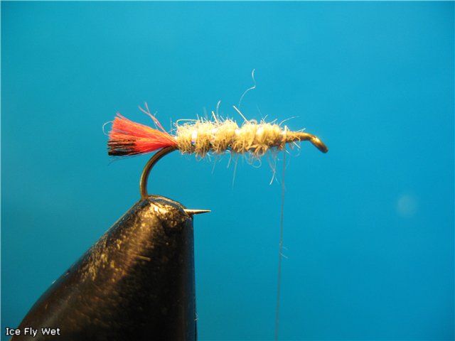 Ice Fly Wet
