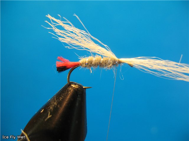 Ice Fly Wet