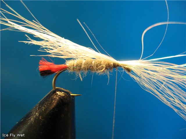 Ice Fly Wet