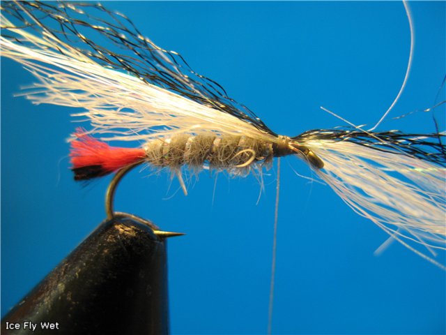 Ice Fly Wet