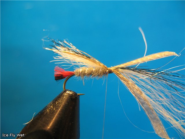 Ice Fly Wet