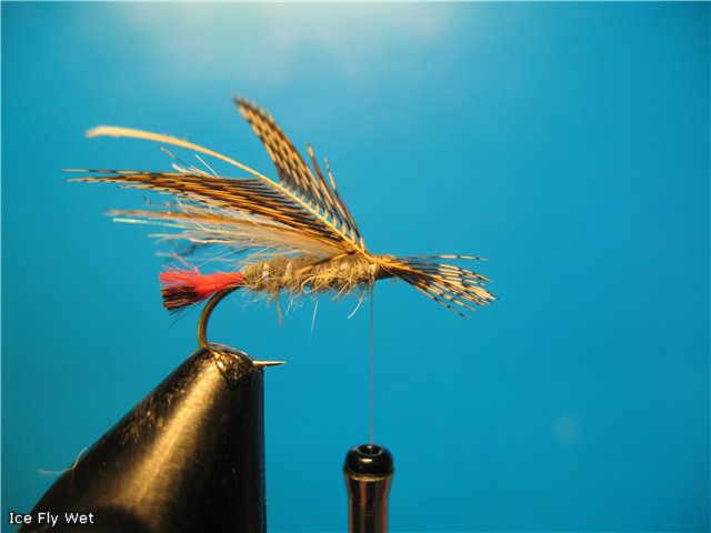 Ice Fly Wet