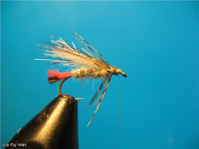 Ice Fly Wet