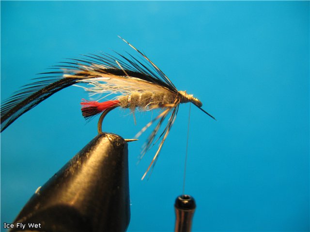 Ice Fly Wet