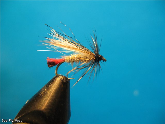 Ice Fly Wet