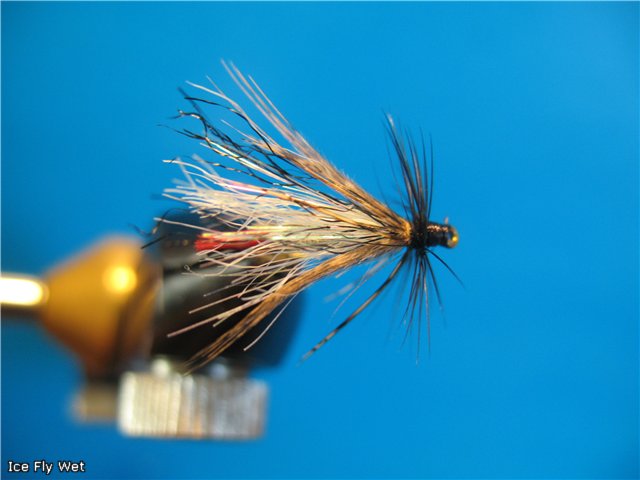 Ice Fly Wet