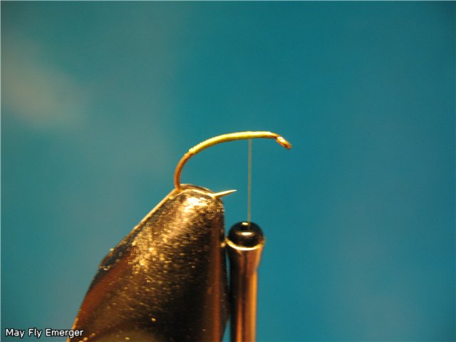 May Fly Emerger