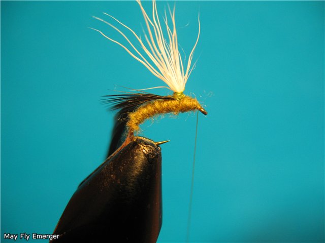 May Fly Emerger