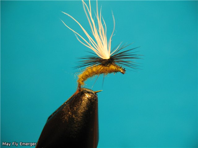 May Fly Emerger
