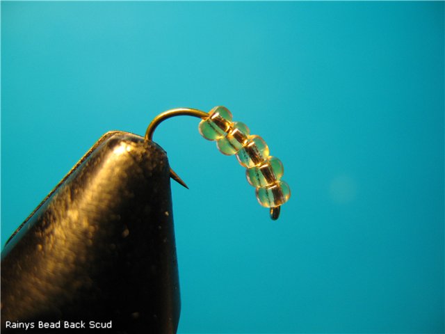 Rainys Bead Back Scud