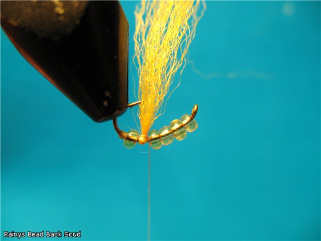 Rainys Bead Back Scud