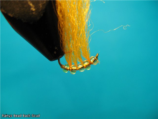 Rainys Bead Back Scud