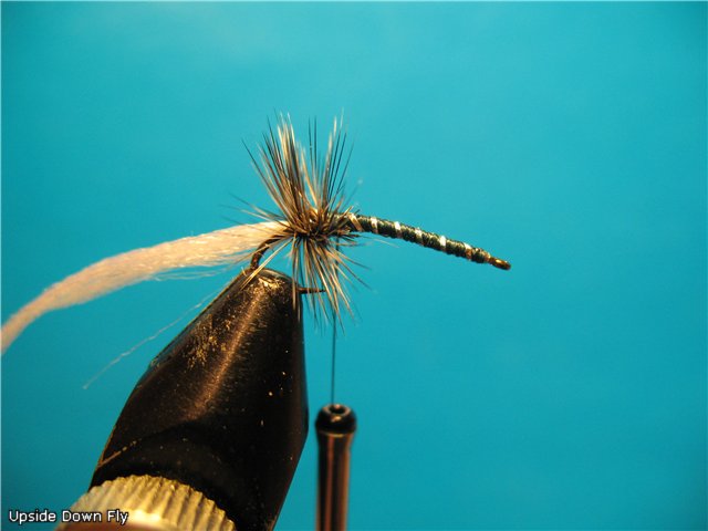 Upside Down Fly