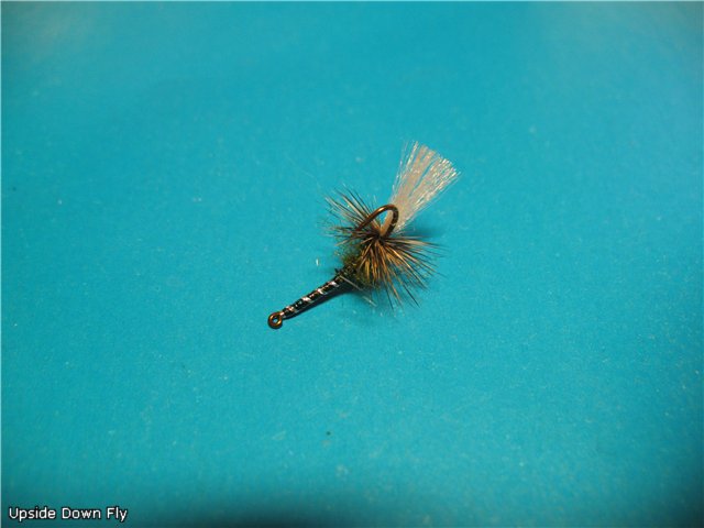 Upside Down Fly