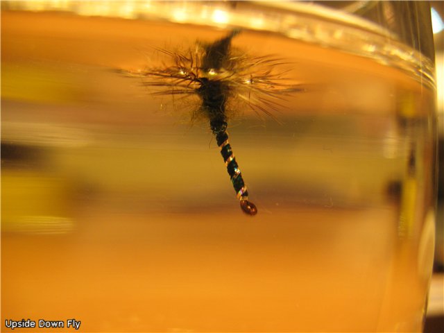 Upside Down Fly