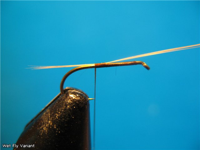 Wet Fly Variant