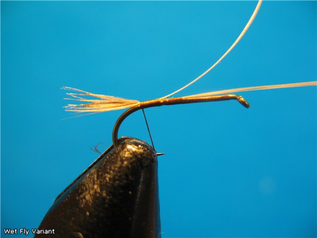 Wet Fly Variant