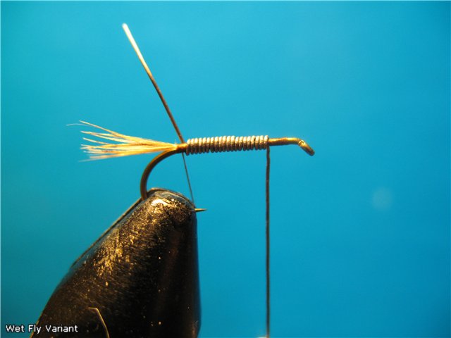 Wet Fly Variant