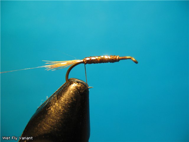 Wet Fly Variant