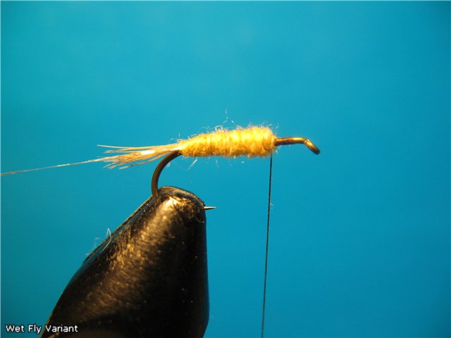 Wet Fly Variant