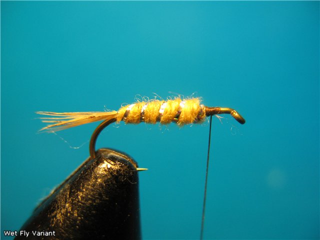 Wet Fly Variant