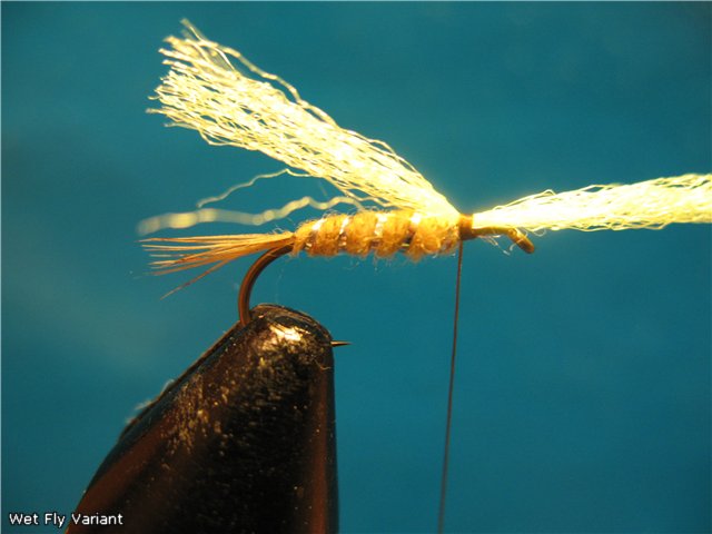 Wet Fly Variant
