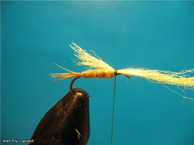 Wet Fly Variant
