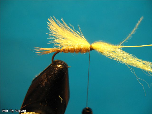 Wet Fly Variant