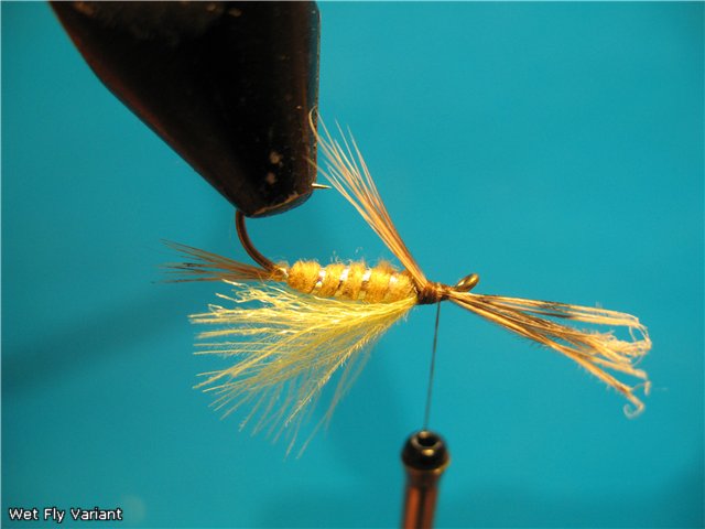 Wet Fly Variant