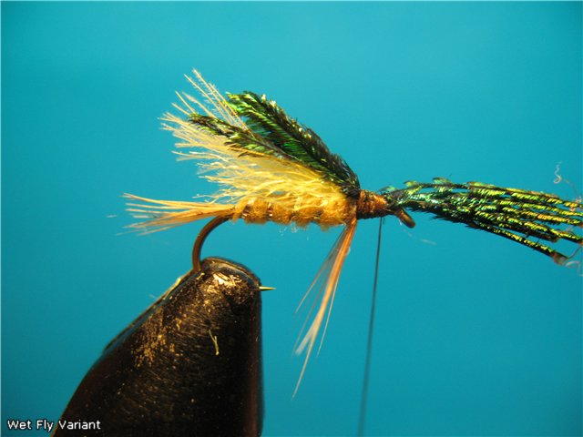 Wet Fly Variant