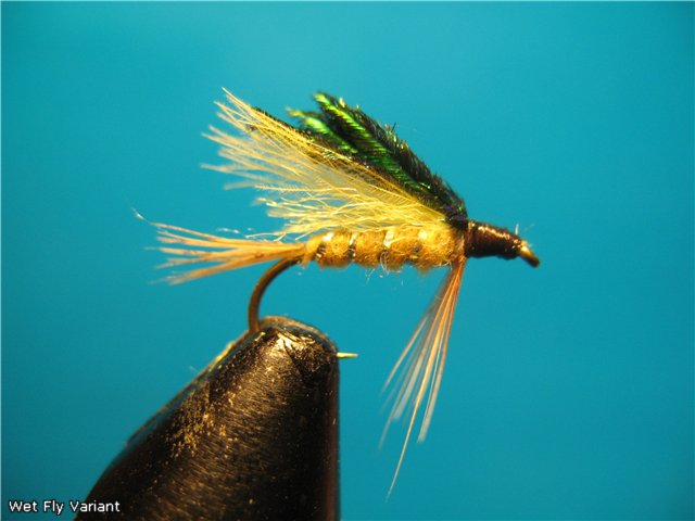 Wet Fly Variant